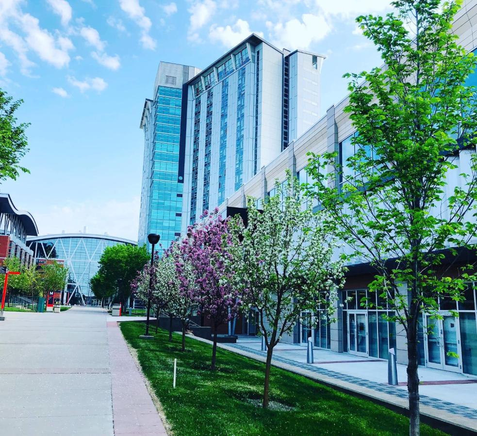 Sait Residence & Conference Centre - Κάλγκαρι Εξωτερικό φωτογραφία